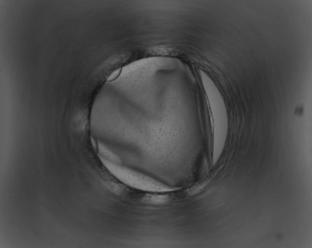 X0000095540665200801041310