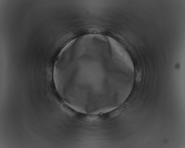 X0000095540666200801041310