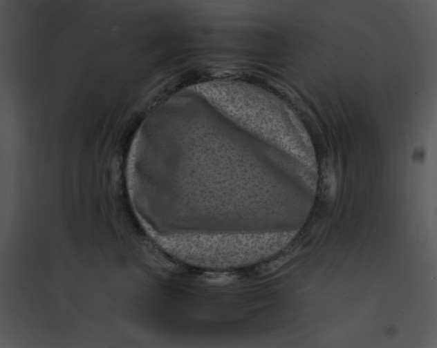 X0000095540667200801041310