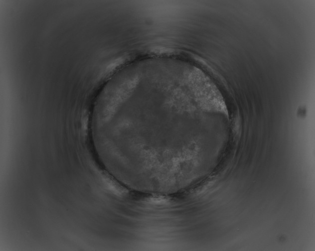 X0000095540668200801041310