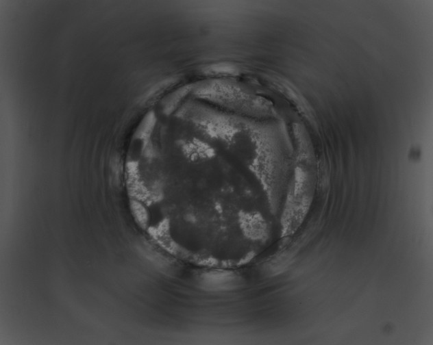 X0000095540669200801041310