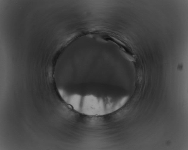 X0000095540670200801041310