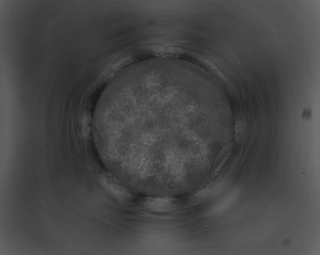 X0000095540671200801041310