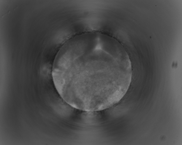 X0000095540672200801041310