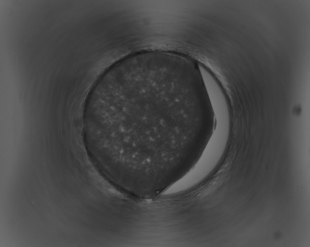 X0000095540673200801041309