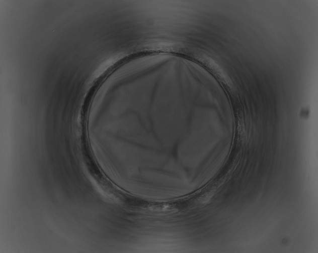 X0000095540674200801041309