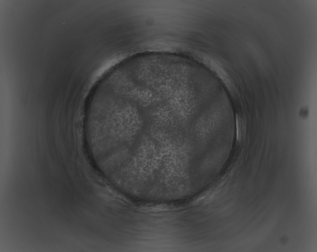 X0000095540675200801041309