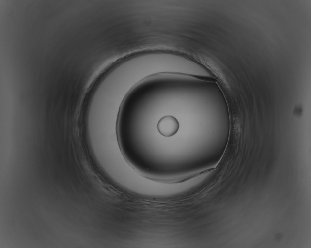 X0000095540676200801041309