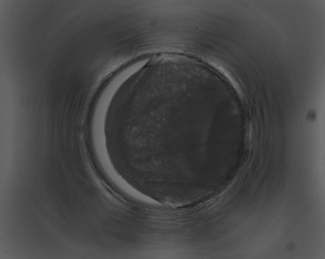 X0000095540677200801041309