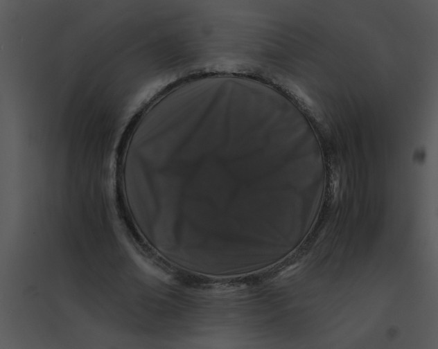 X0000095540678200801041309