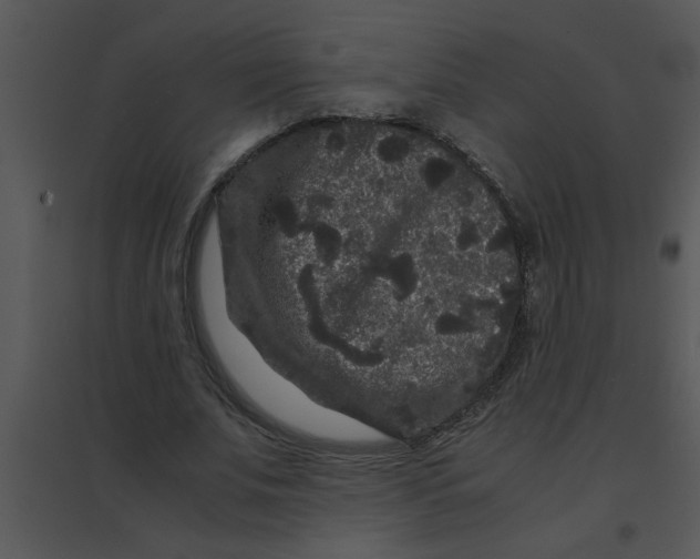 X0000095540679200801041309