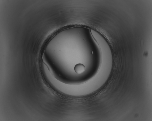 X0000095540680200801041309