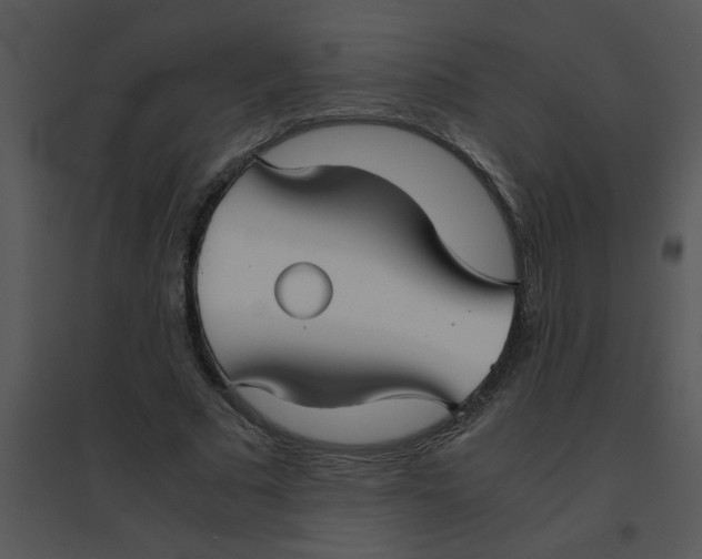 X0000095540681200801041309