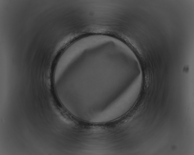 X0000095540682200801041309