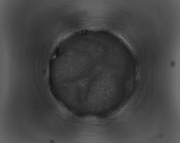 X0000095540685200801041309