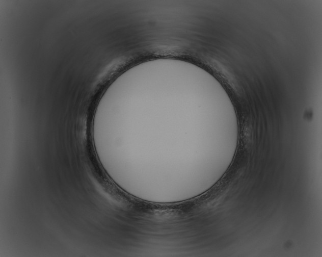 X0000095540686200801041309