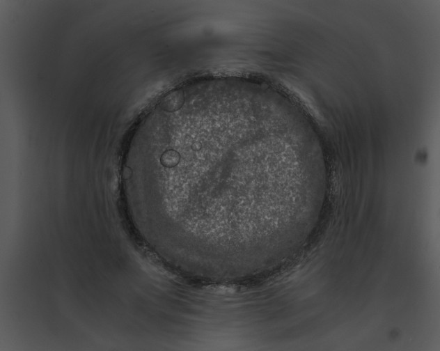 X0000095540687200801041309