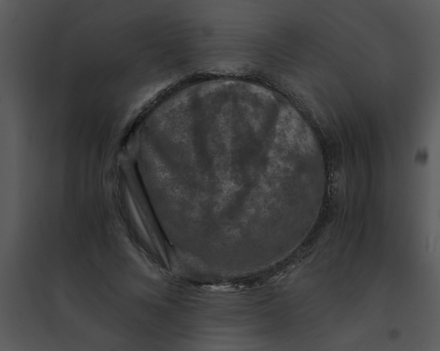 X0000095540688200801041309