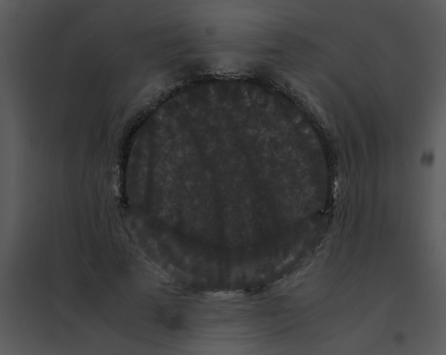 X0000095540689200801041309