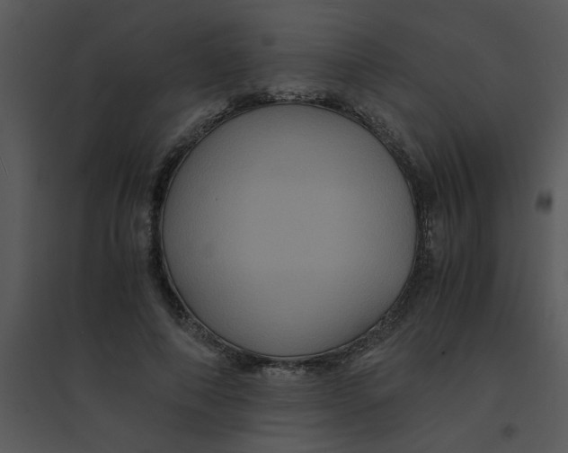 X0000095540690200801041309