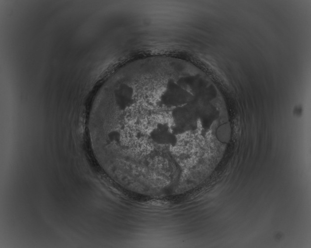 X0000095540691200801041309