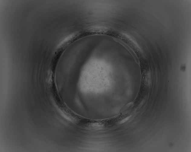 X0000095540692200801041309