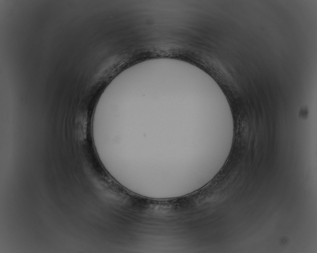 X0000095540694200801041309