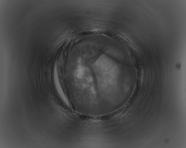 X0000095540696200801041309