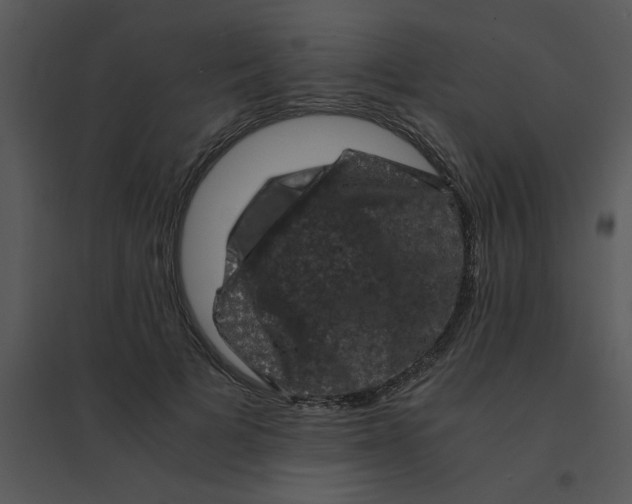 X0000095540697200801041309