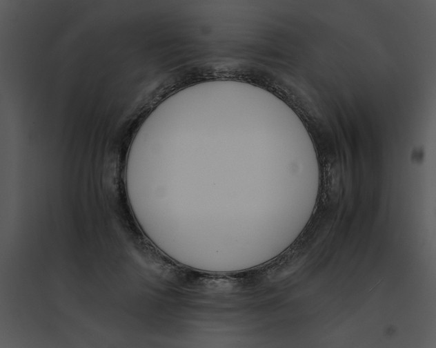 X0000095540698200801041309