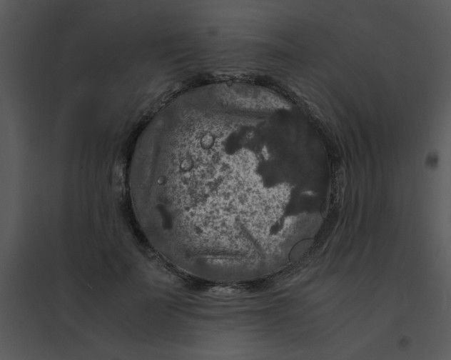 X0000095540699200801041309