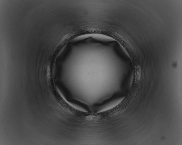 X0000095540700200801041309