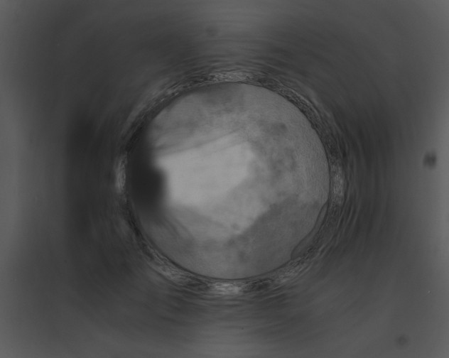 X0000095540701200801041309