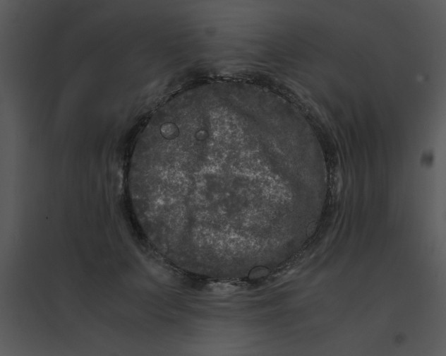 X0000095540703200801041309