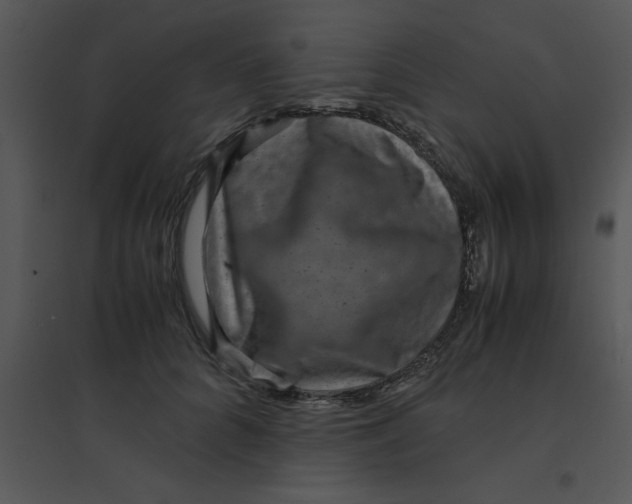 X0000095540704200801041309