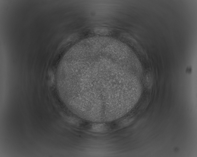 X0000095540705200801041309