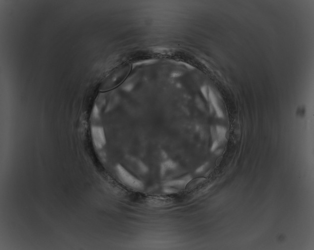 X0000095540707200801041309