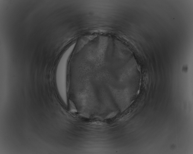 X0000095540708200801041309