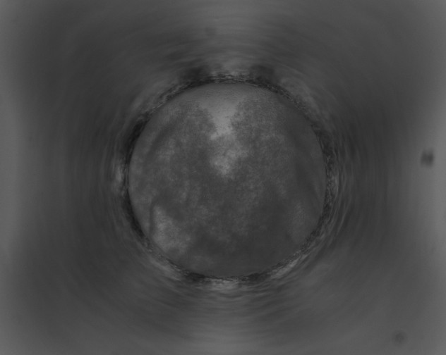 X0000095540709200801041309