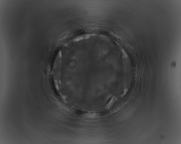 X0000095540711200801041309