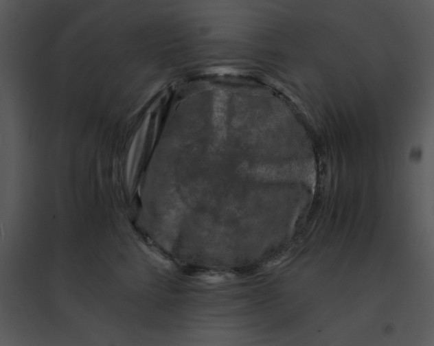 X0000095540712200801041309