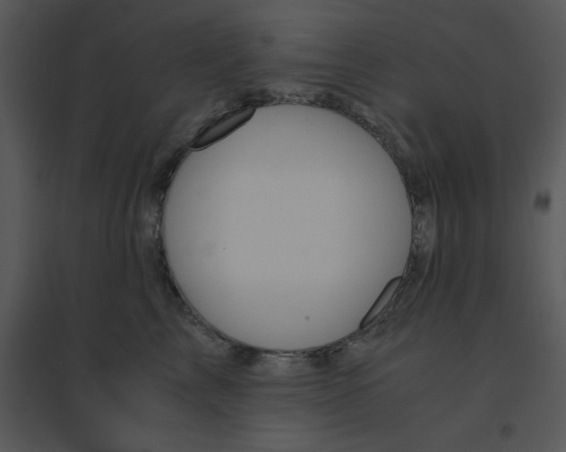 X0000095540713200801041309