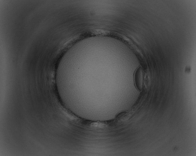 X0000095540714200801041309