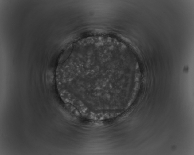 X0000095540715200801041309