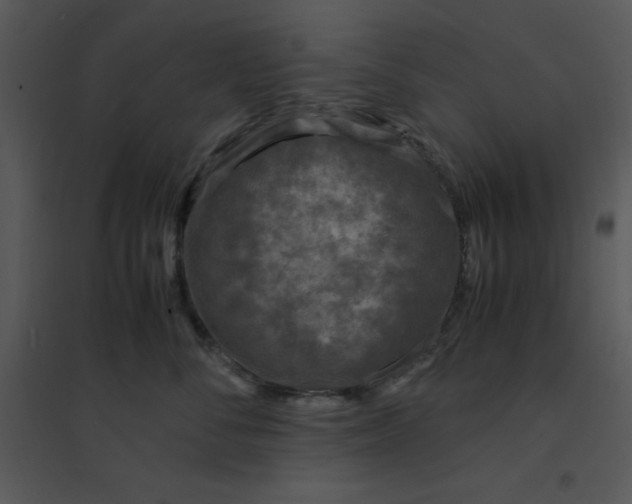 X0000095540716200801041309