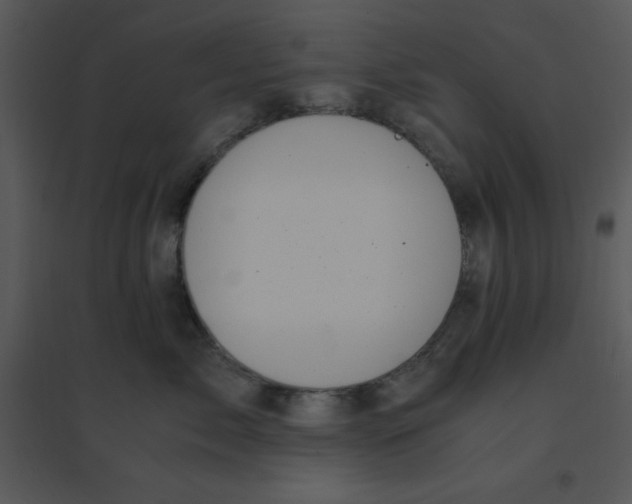 X0000095540717200801041309