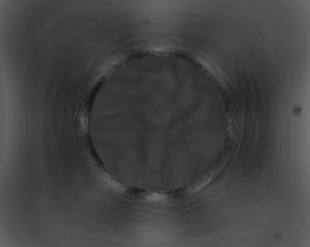 X0000095540718200801041309