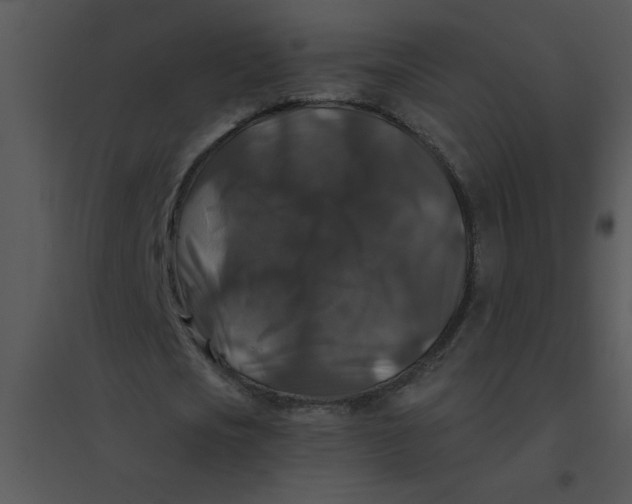 X0000095540721200801041308