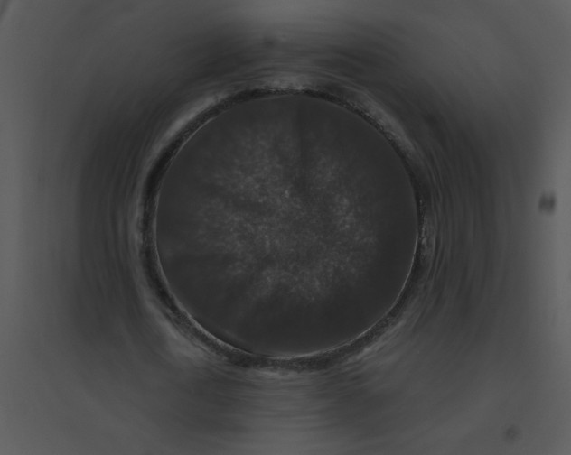 X0000095540722200801041308