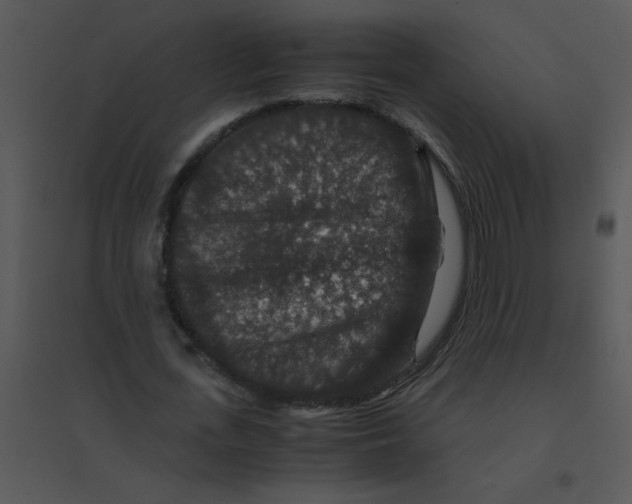 X0000095540723200801041308